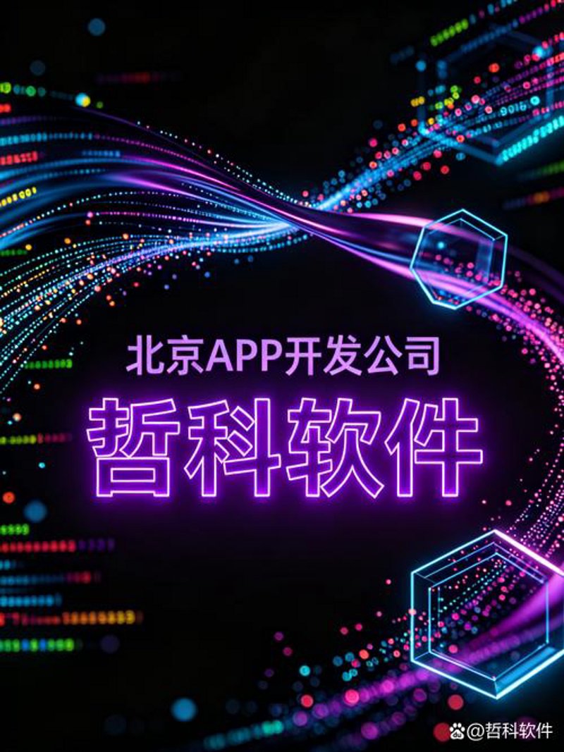 软件定制：为企业插上飞速发展的翅膀